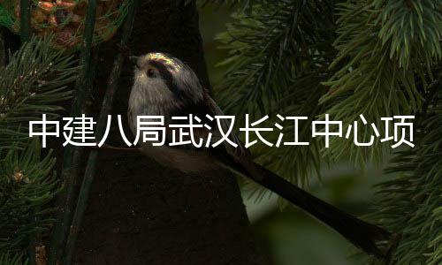 项目大会八局举行千人中建中心誓师长江武汉